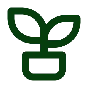 Growth