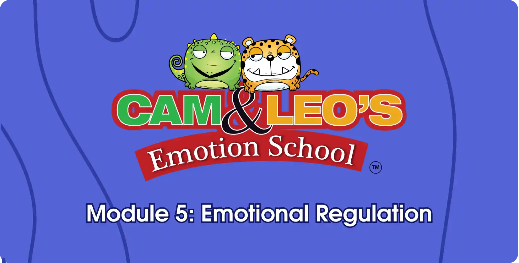 Module 5: Emotional Regulation